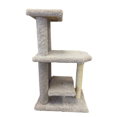 Cat Tree Condo - Cat - Teddy