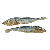 This & That Canine Co. - Dog - Sydney's Harbour Baltic Herring