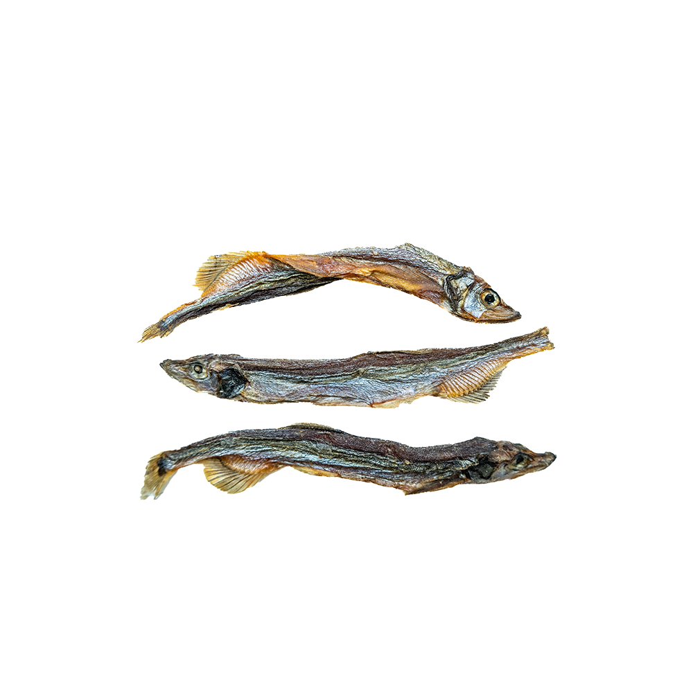 This & That Canine Co. - Dog - Sydney's Harbour Cole Harbour Capelin