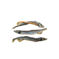 This & That Canine Co. - Dog - Sydney's Harbour Cole Harbour Capelin