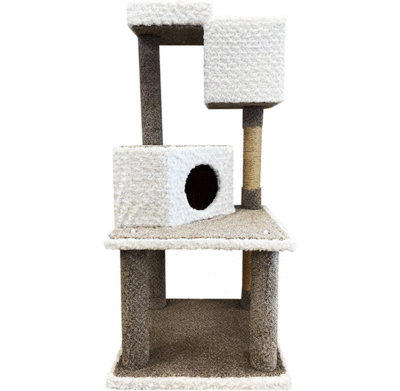 Cat Tree Condo - Cat - Tommy