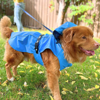 Rocky Mountain Dog - Dog - Rain Jacket Blue