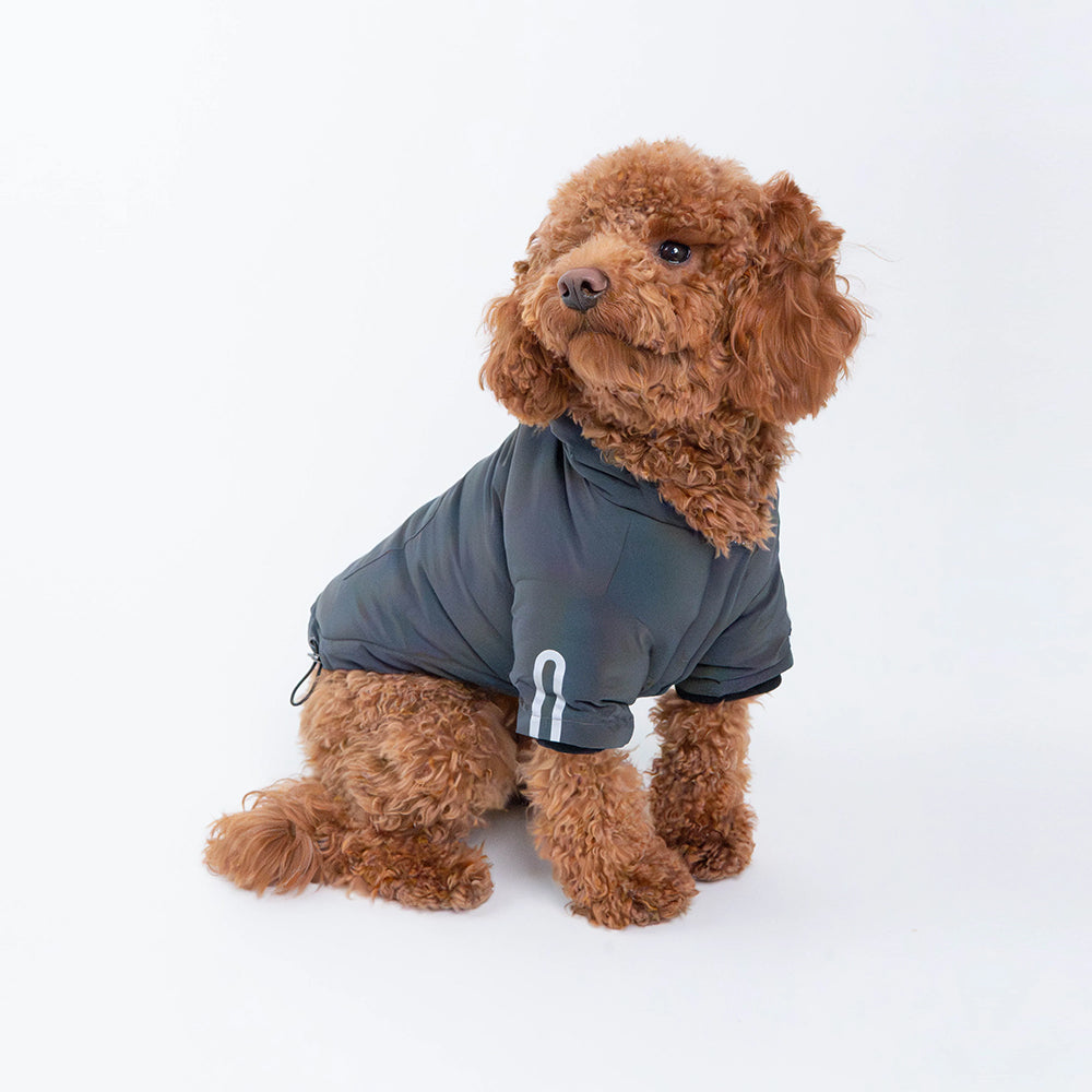 Silver Paw - Dog - Yves Padded Winter Jacket Grey