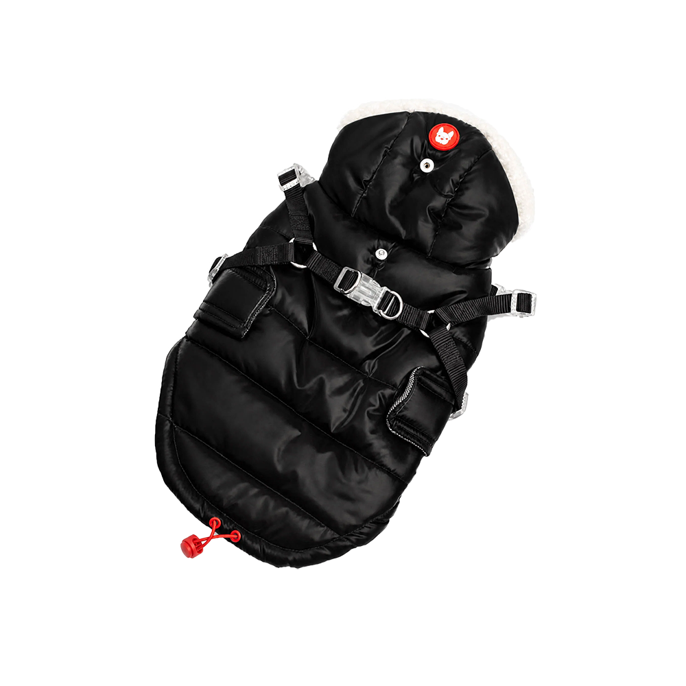 Silver Paw - Dog - Zara Puffer Jacket Black
