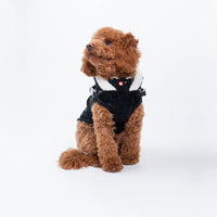 Silver Paw - Dog - Zara Puffer Jacket Black