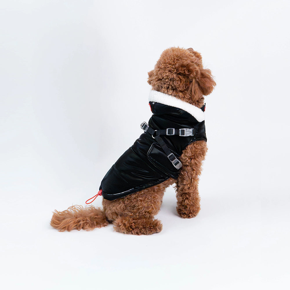 Silver Paw - Dog - Zara Puffer Jacket Black