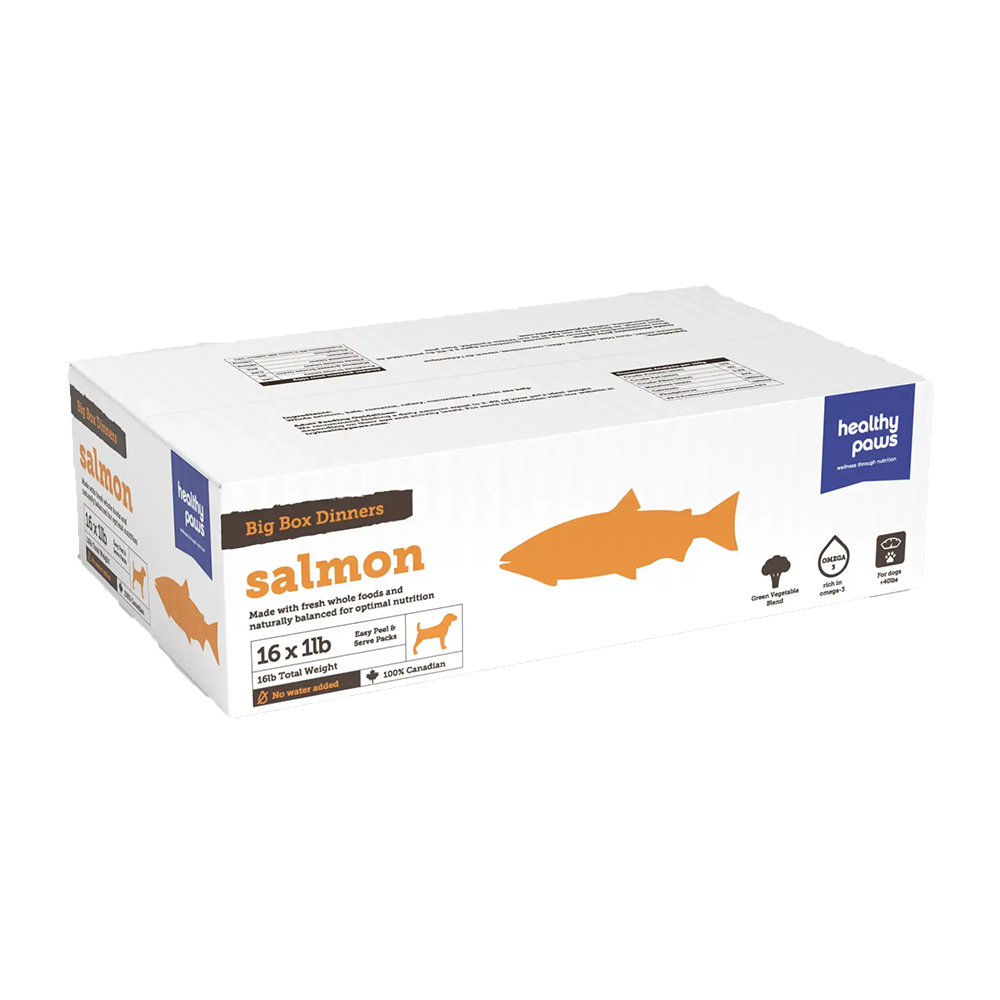 Healthy Paws - Dog - Frozen Raw Big Box Dinner Salmon