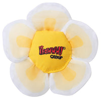 Yeowww! - Cat - Daisy Flower Top White