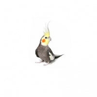 Seed to Sky - Small Animal - Prem Cockatiel No Sun