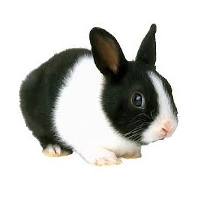 Seed to Sky - Small Animal - Rabbit Pellets