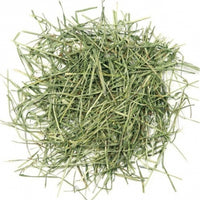 Seed to Sky - Small Animal - Timothy Hay