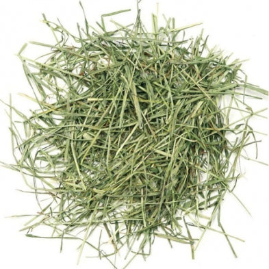 Seed to Sky - Small Animal - Timothy Hay