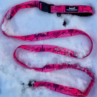 Rocky Mountain Dog - Dog - Leash Cascade All Mountain