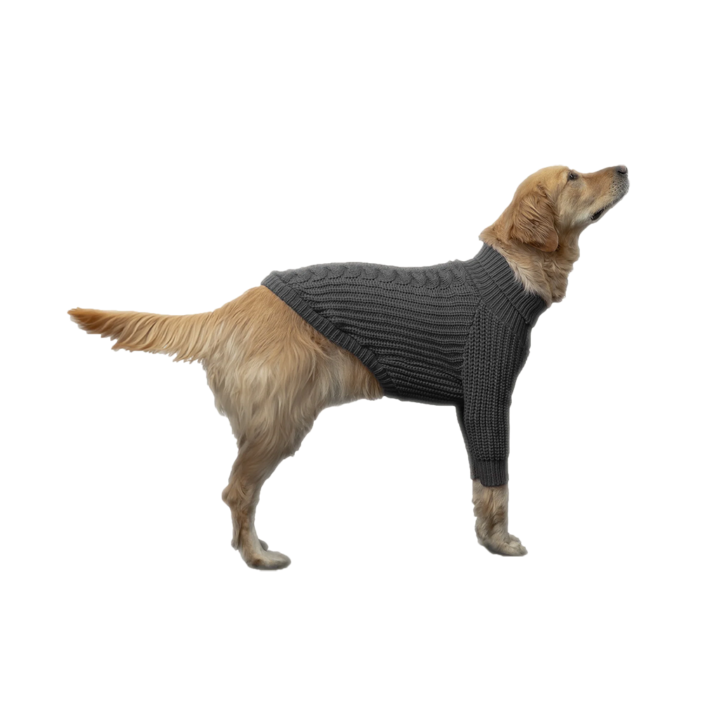Goo-eez - Dog - Heavy Knit Sweater Charcoal
