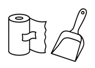Waste Management & Clean Up