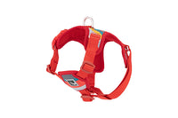 RC Pets - Dog - Forte Step In Harness Multi Stripes