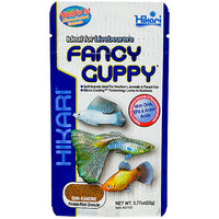 Hikari - Fish - Fancy Guppy