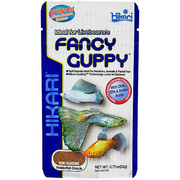 Hikari - Fish - Fancy Guppy