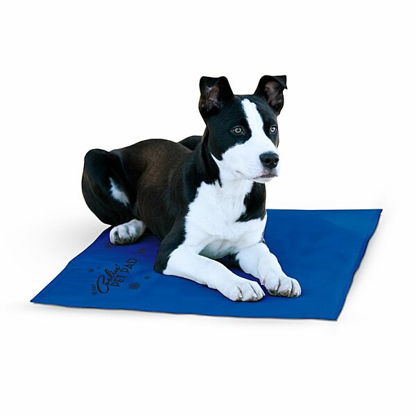 K&H Pet Products - Dog - Coolin Pad Blue