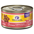 Wellness - Cat - Complete Health Gravies Salmon Dinner