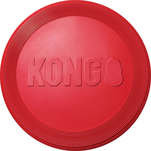 KONG - Dog - Flyer