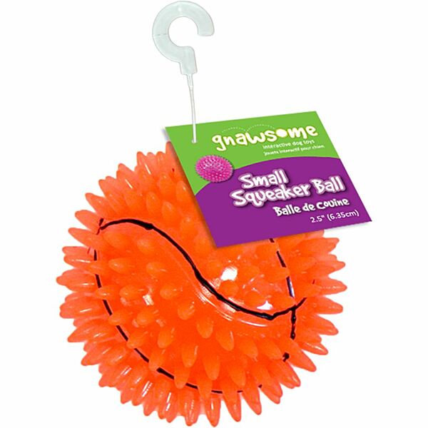 Gnawesome - Dog - Squeak & Light Basketball