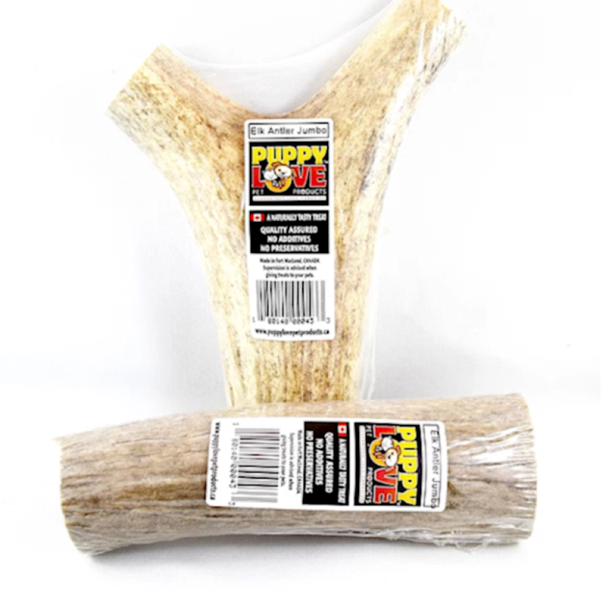 Puppy Love - Elk Antler Whole