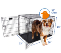 Petmate - 2-Door Training Retreats Wire Kennel 36