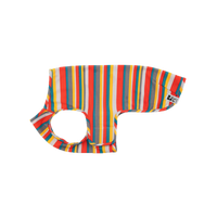 RC Pets - Dog - Zephyr Cooling Vest Multi Stripes