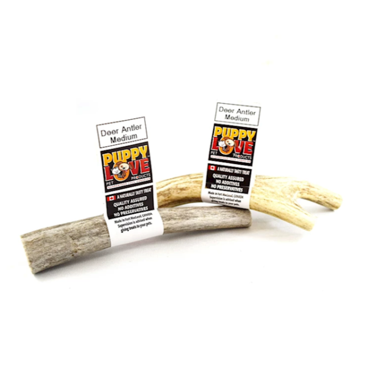 Puppy Love - Deer Antler