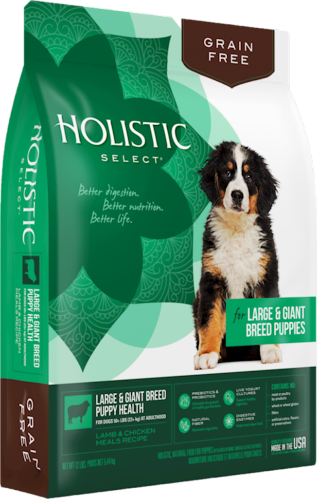 Holistic Select - Dog - Large & Giant Breed Puppy Grain Free Lamb & Chicken Recipe