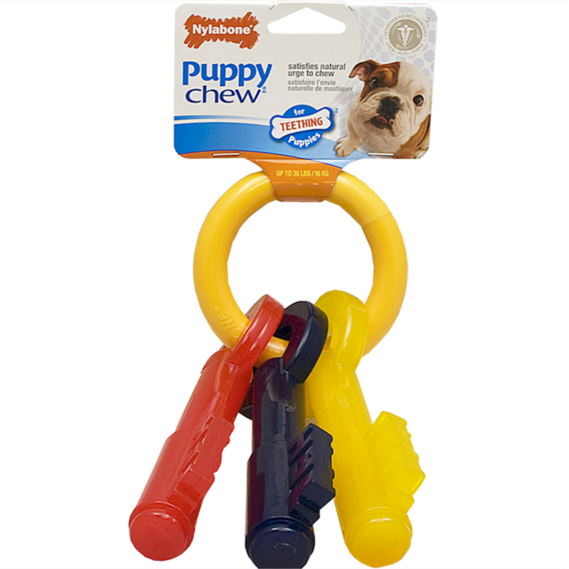 Nylabone - Dog - Puppy Chew Teething Keys Toy