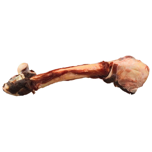 K9 Choice Foods - Whole Kangaroo Leg Bones