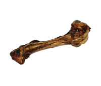 Open Range - Cured Dino Bone
