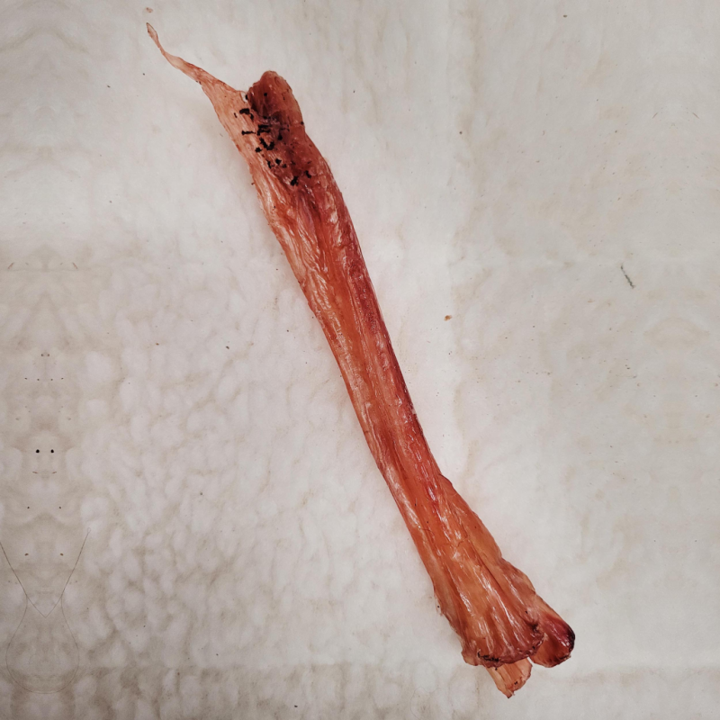 Dave Bones - Beef Tendon
