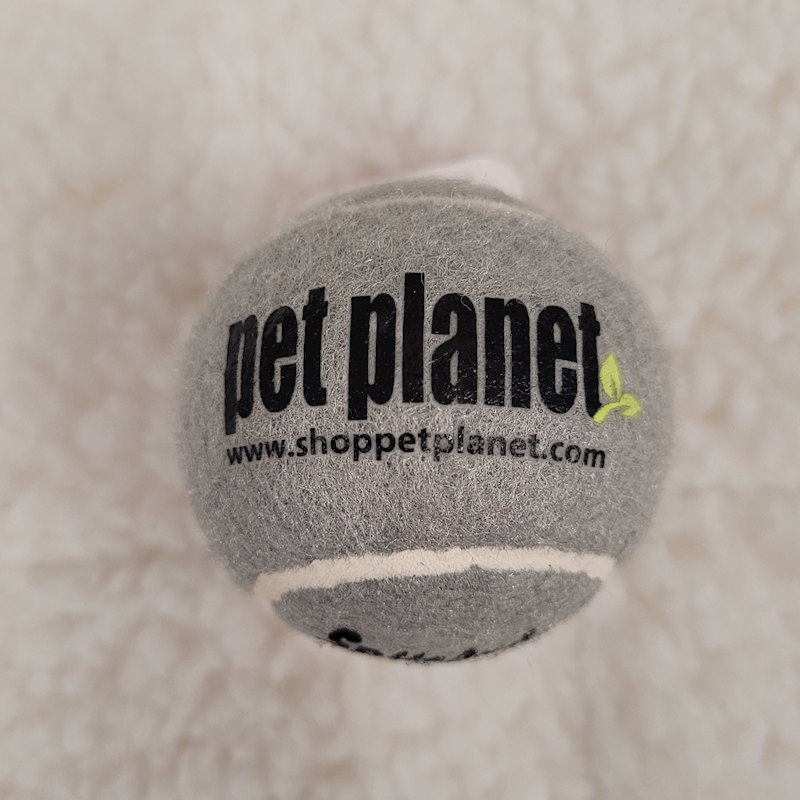 Pet Planet - Dog -  Pet Planet & KONG Ball