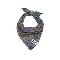 RC Pets - Dog - Zephyr Cooling Bandana Gallery