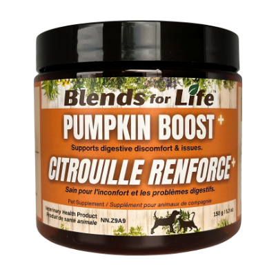 Blends for Life - Pumpkin Boost +