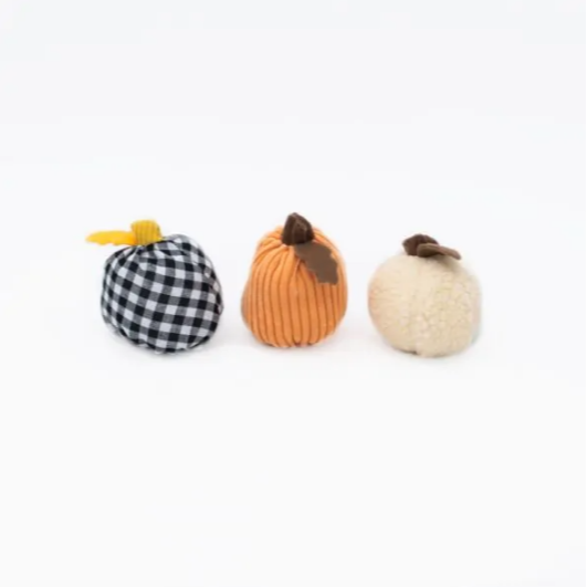 Zippy Paws - Halloween Miniz - Gourds