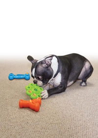 KONG - Dog Quest Wishbone Assorted