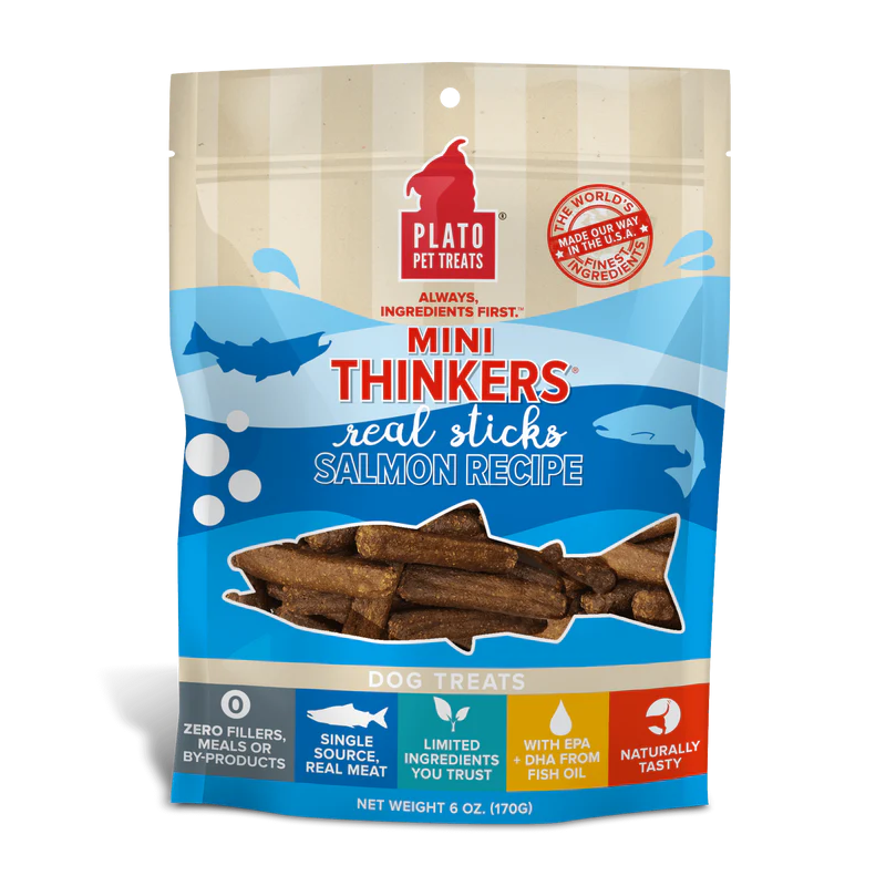 Plato - Dog - Thinkers Salmon