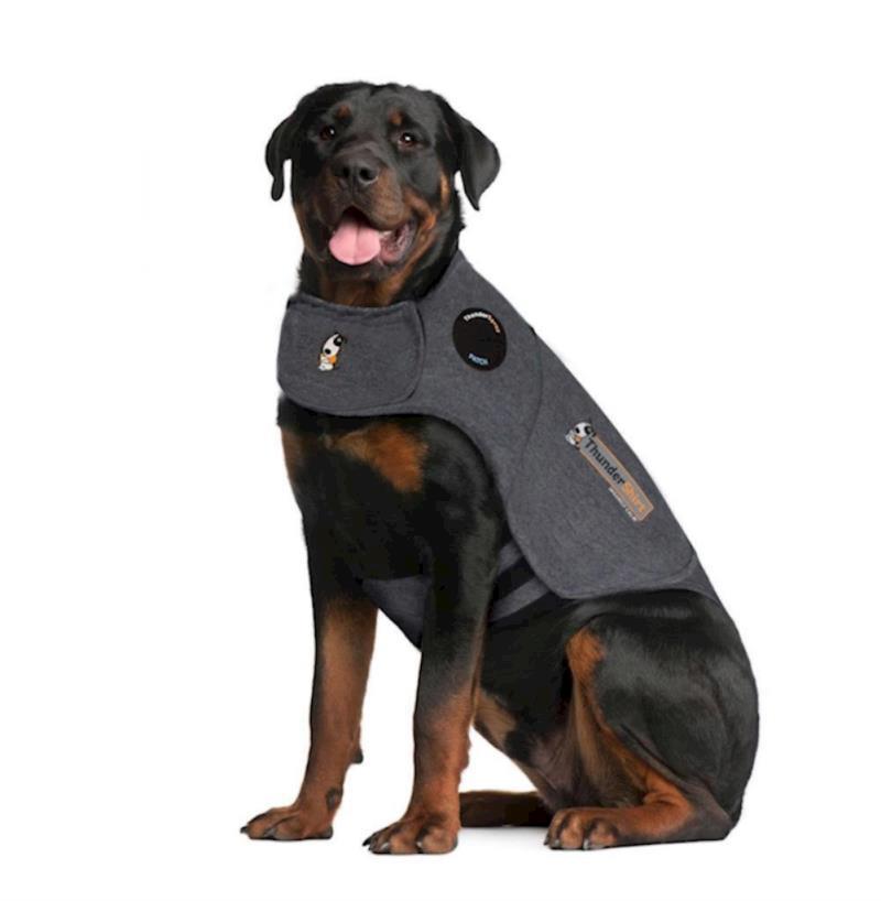 ThunderWorks - Thundershirt - Dog Sport Platinum XXLarge