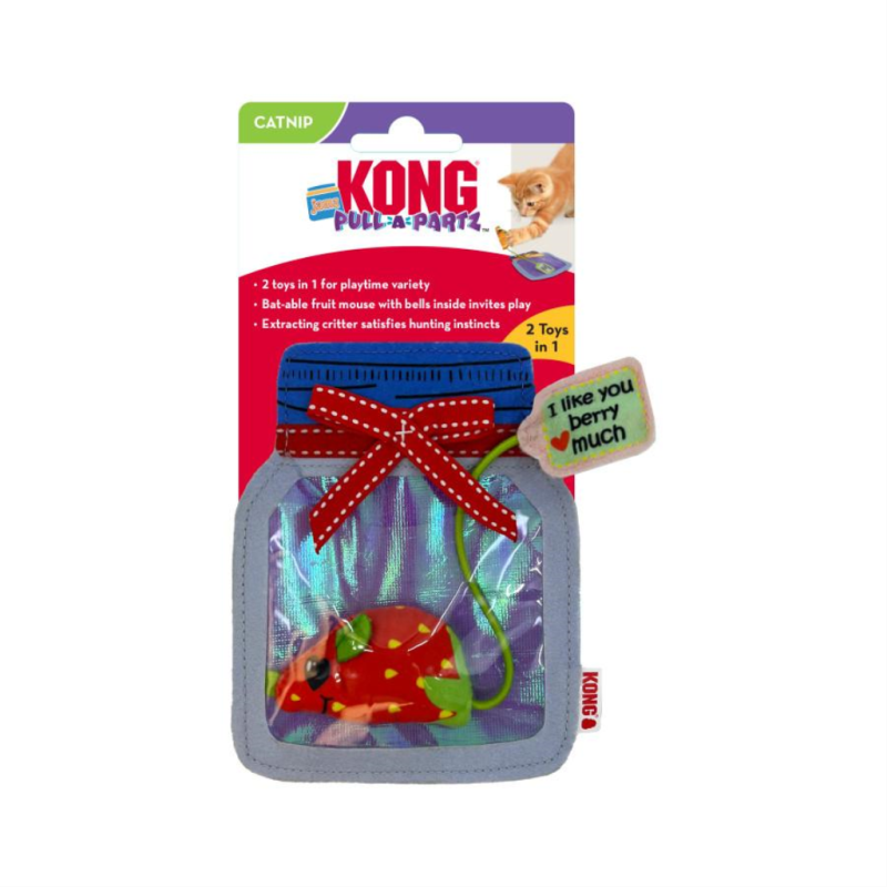 KONG - Dog - Pull A Part Jamz