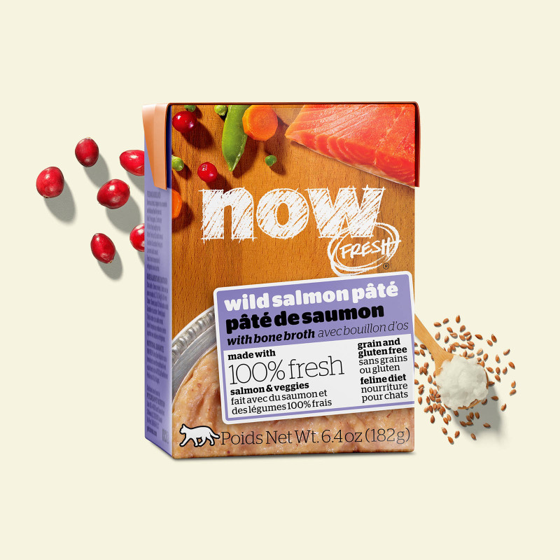 Petcurean - Now Fresh - Cat Grain Free Wild Salmon Pate