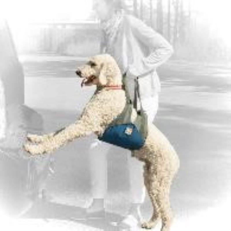 Kurgo - Up and About Lifter