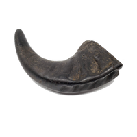 Open Range - Water Buffalo Horn