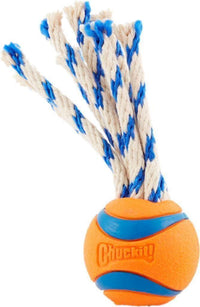Petmate - Chuckit! - Dog Ultra Toss Medium