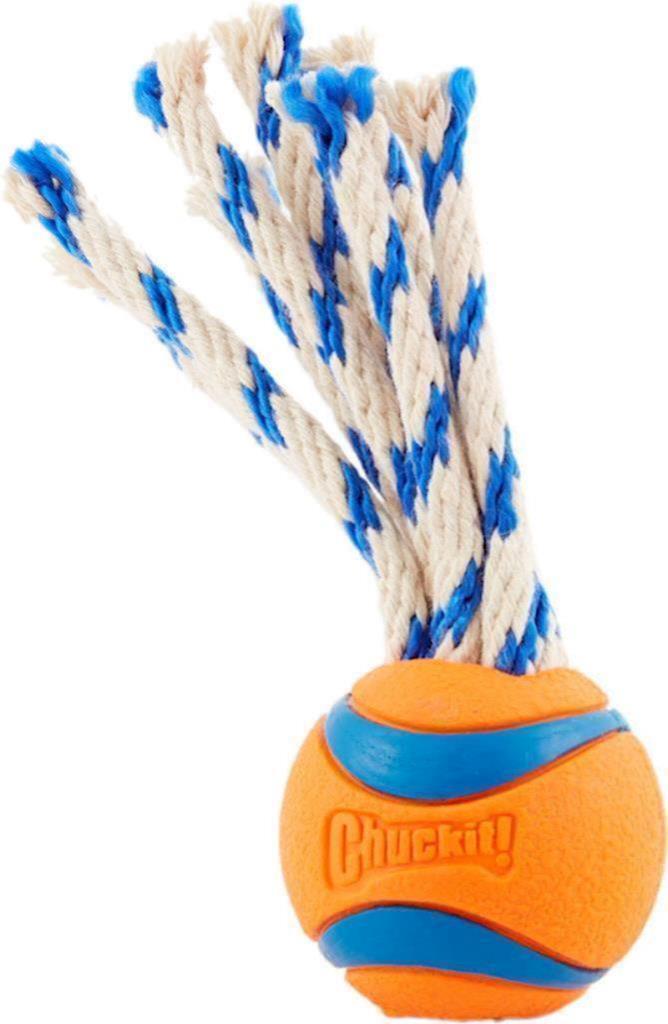 Petmate - Chuckit! - Dog Ultra Toss Medium
