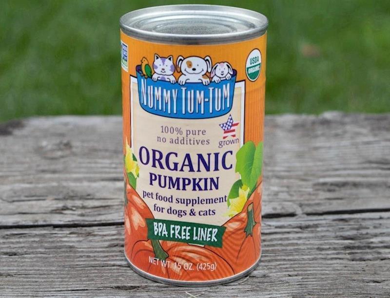 Nummy Tum Tum - Organic Pumpkin Can