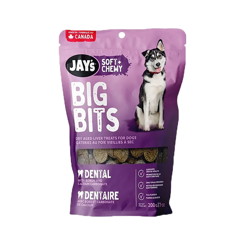Jay - Big Bits - Dental
